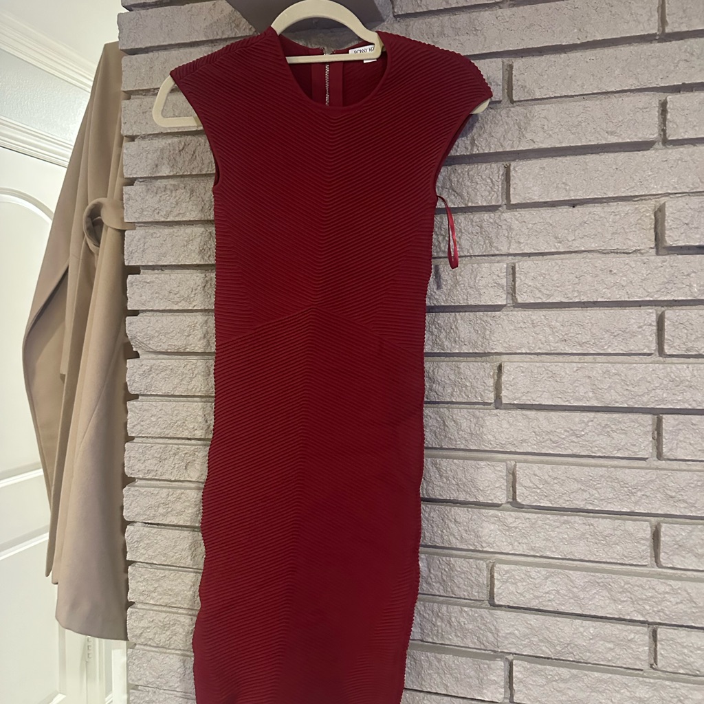 Ronny Kobo Maroon/Red Dress